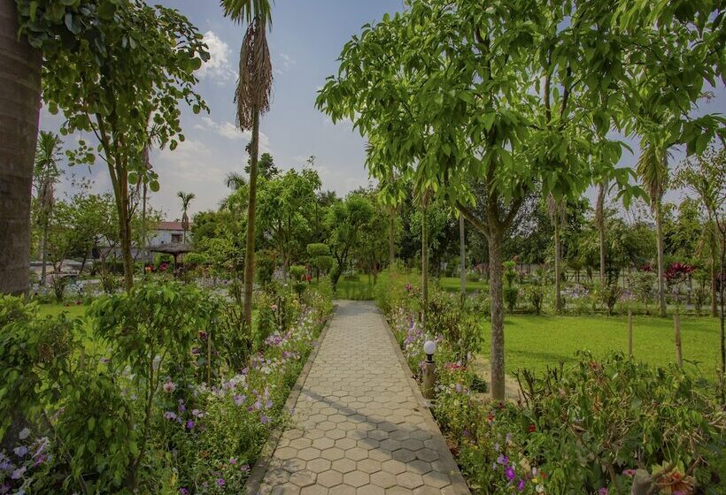 Fotos del hotel Jungle Nepal Resort:  9