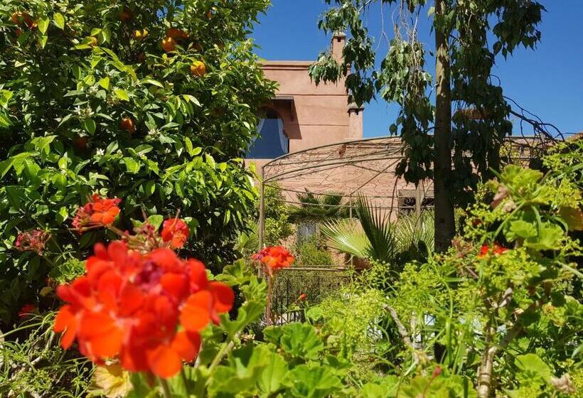 Fotos del hotel Ksar Salha:  8