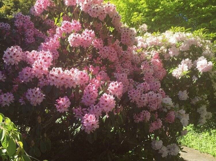 Fotos del hotel The Flying Trout Boutique Lodge:  4