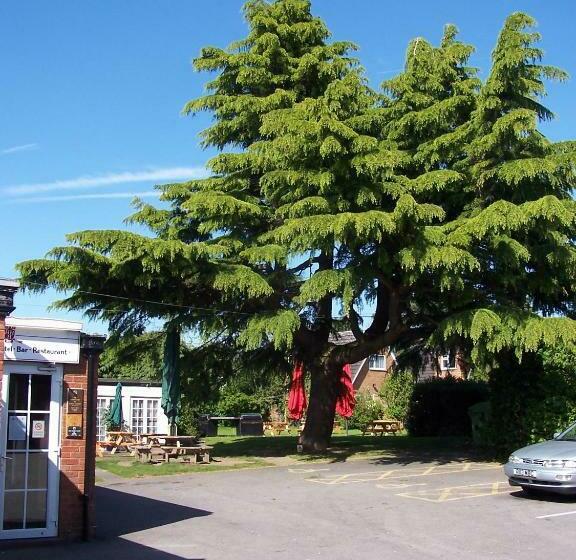 Fotos del hotel Hilton House:  3