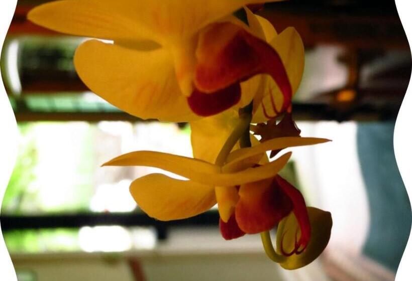 Fotos del hotel Laurel Cottage:  14