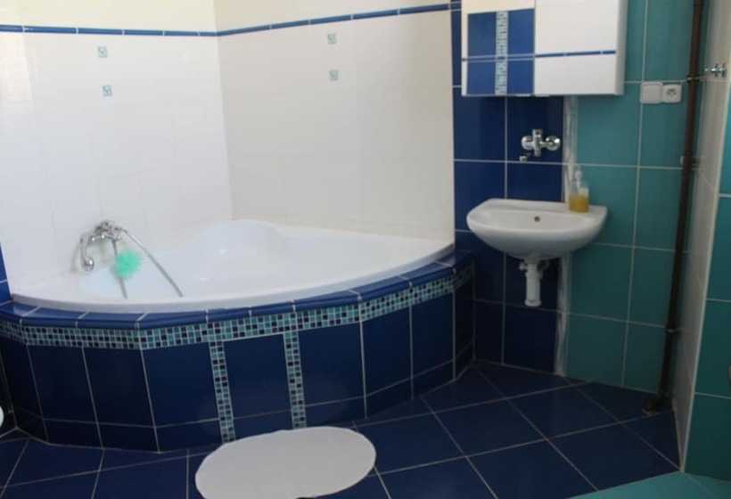 Fotos del hotel Penzion 4 Dvory:  7