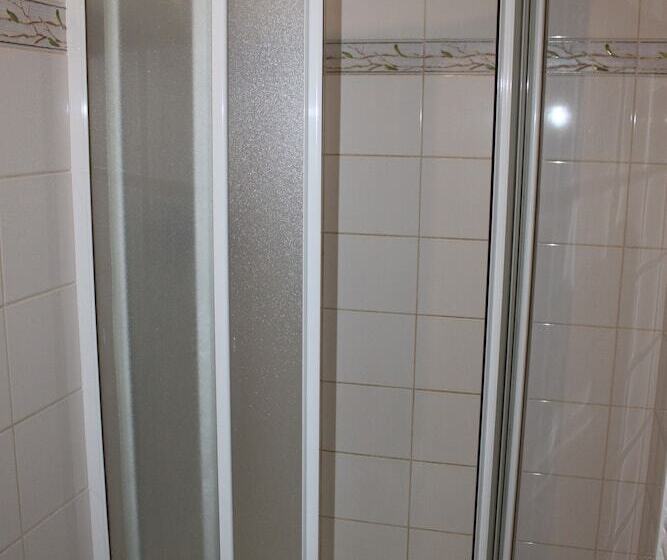 Fotos del hotel Penzion 4 Dvory:  21