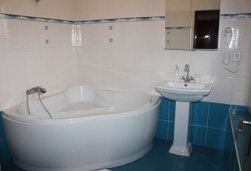 Fotos del hotel Penzion 4 Dvory:  16