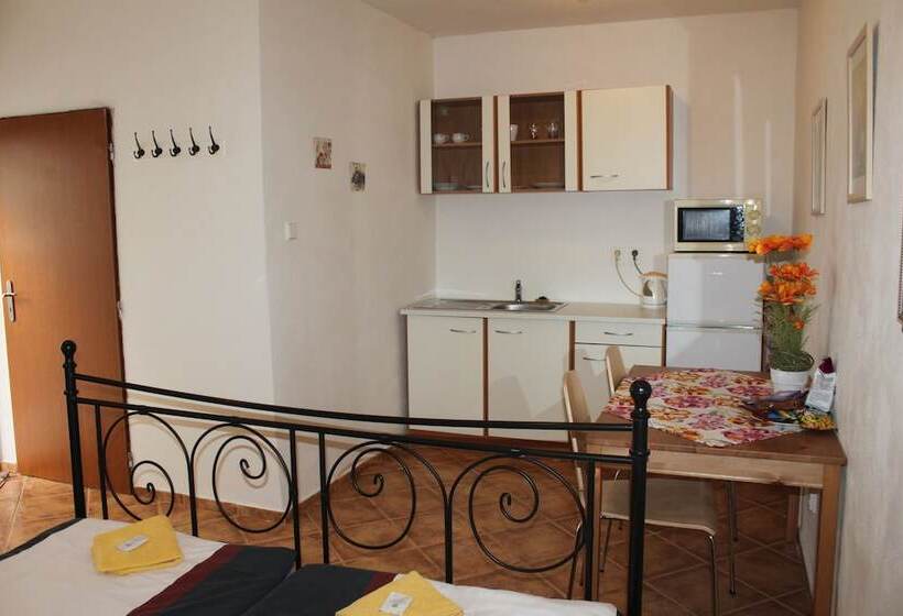 Fotos del hotel Penzion 4 Dvory:  2