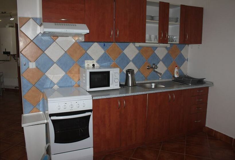 Fotos del hotel Penzion 4 Dvory:  6