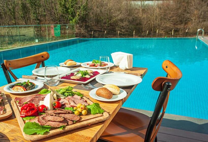 Fotos del hotel Park Inn By Radisson Istanbul Airport Odayeri:  13