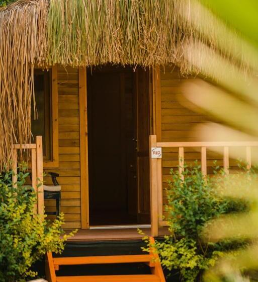 Fotos del hotel Sugar Beach Club:  10