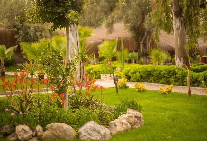 Fotos del hotel Sugar Beach Club:  8