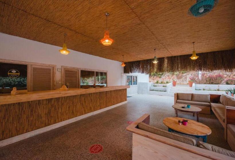 Fotos del hotel Sugar Beach Club:  12