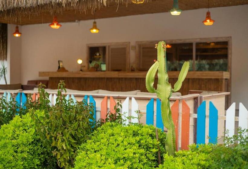 Fotos del hotel Sugar Beach Club:  15