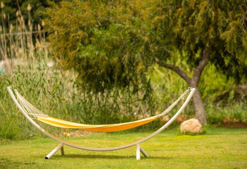 Fotos del hotel Sugar Beach Club:  7