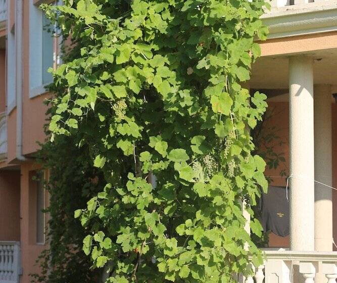 Fotos del hotel Hacienda Beach Resort:  17