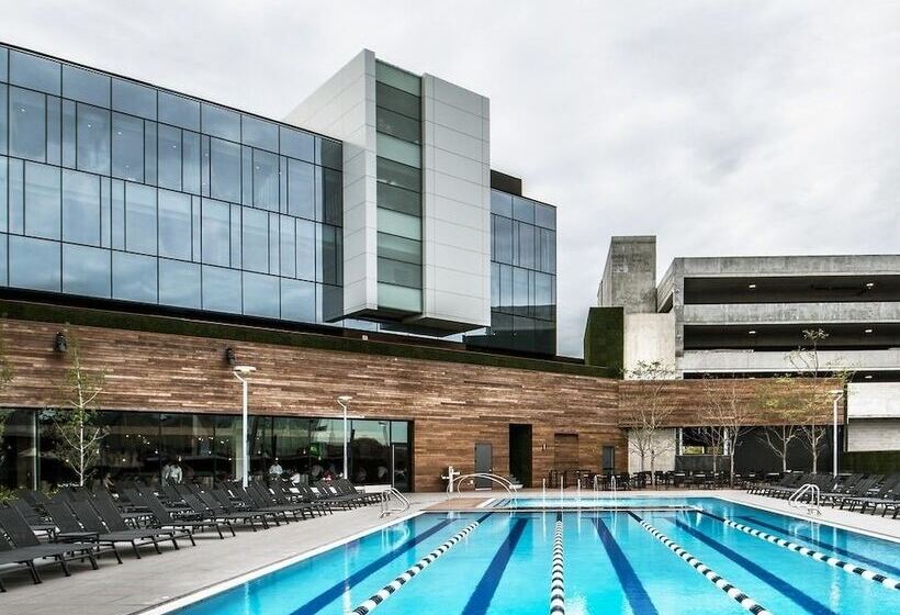 Fotos del hotel The Hotel At Midtown:  24