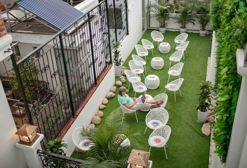 Fotos del hotel Viola Royal Hotel & Spa:  5