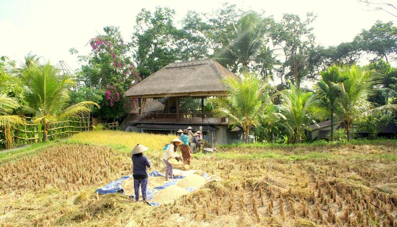 Fotos del hotel Prashanti Ubud:  12