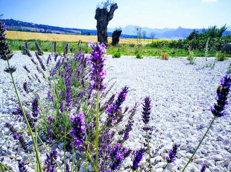 Fotos del hotel Ronda Moments:  19