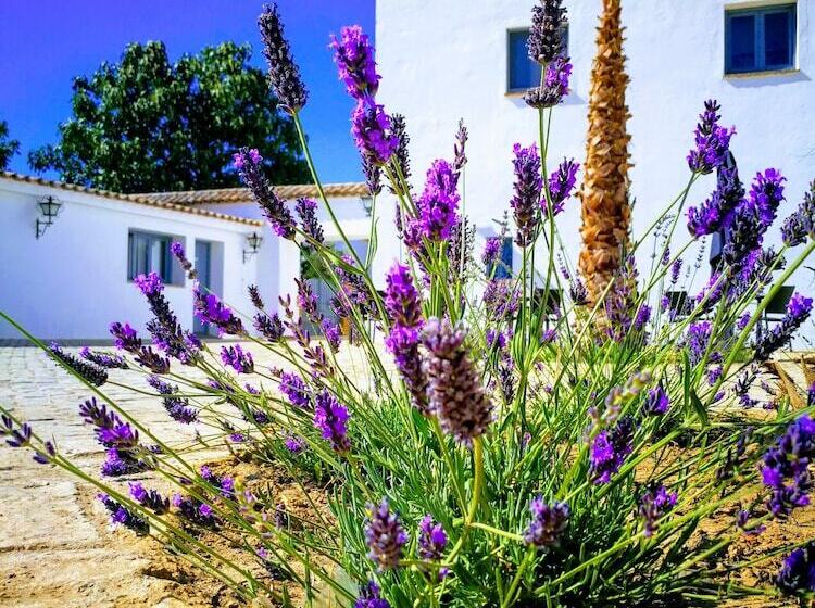 Fotos del hotel Ronda Moments:  6