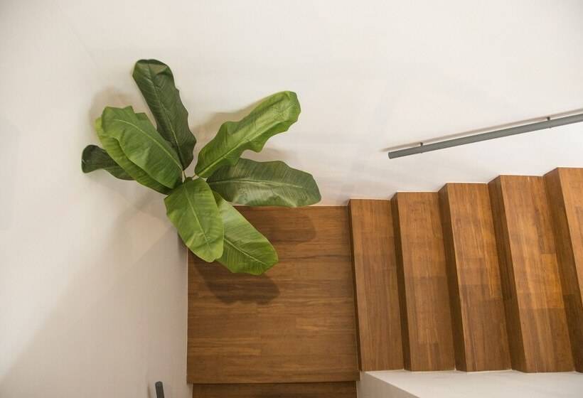 Fotos del hotel Welldone Metropol:  16