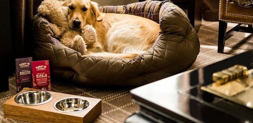 Fotos del hotel Mini Golf & Resort Ubon Ratchathani:  23