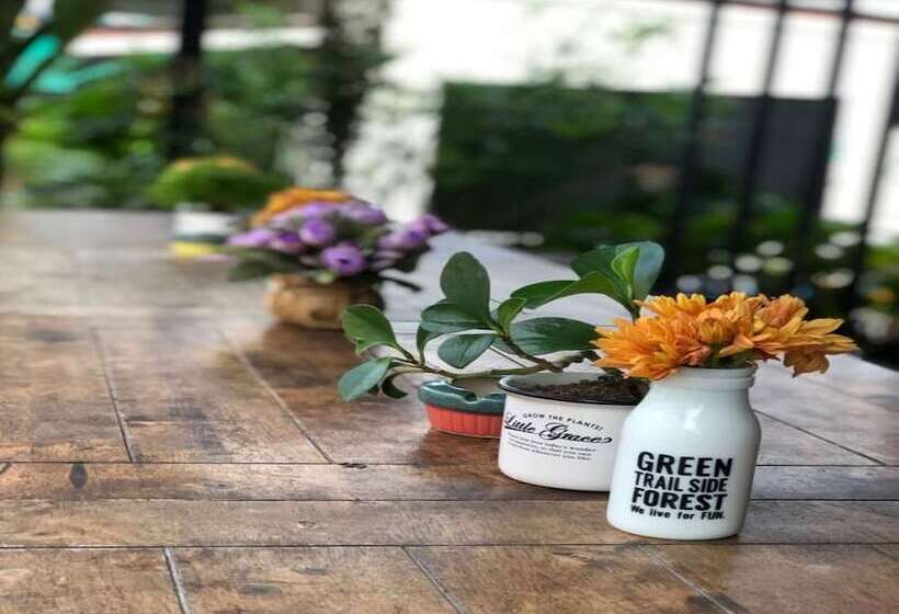 Fotos del hotel Surf And Sand Resort:  23