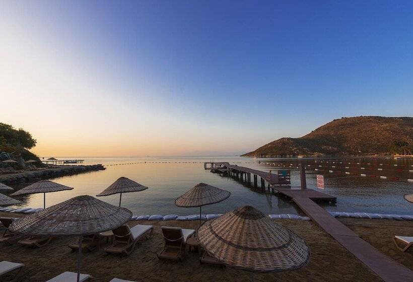 Fotos del hotel Liv Hotel By Bellazure:  12