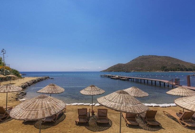 Fotos del hotel Liv Hotel By Bellazure:  14