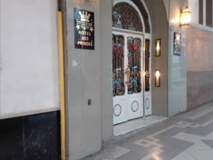 Fotos del hotel Des Princes:  18