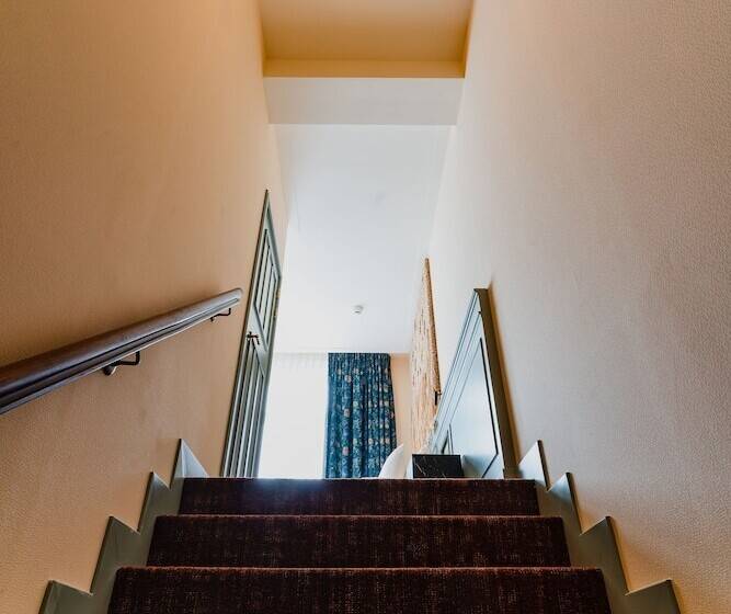 Fotos del hotel Mercier:  10