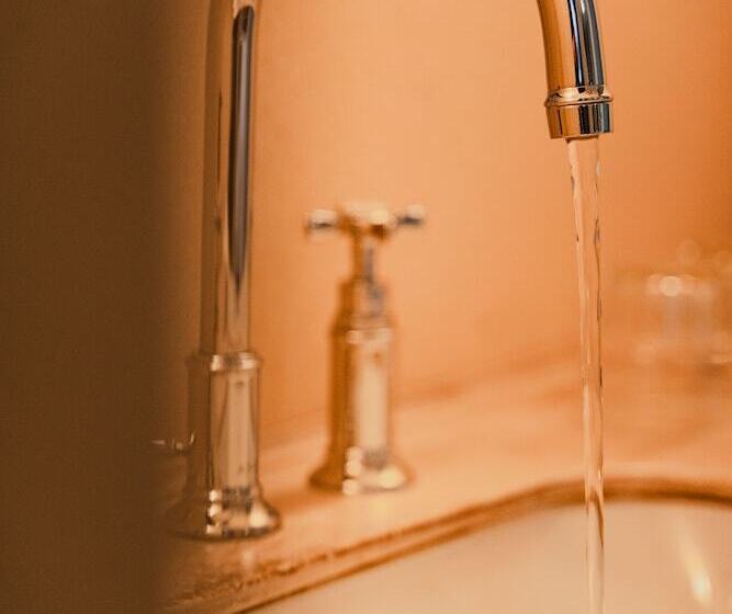 Fotos del hotel Mercier:  4