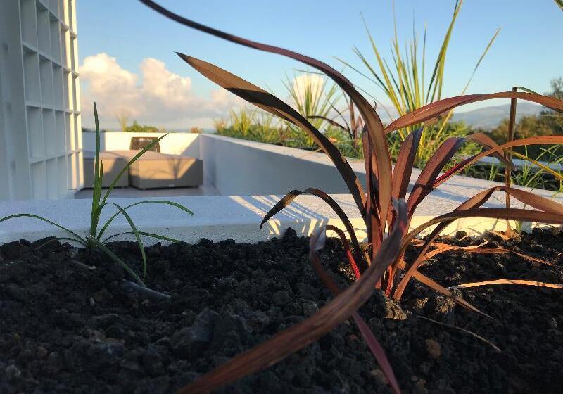 Fotos del hotel Vinhas Do Calhau:  8