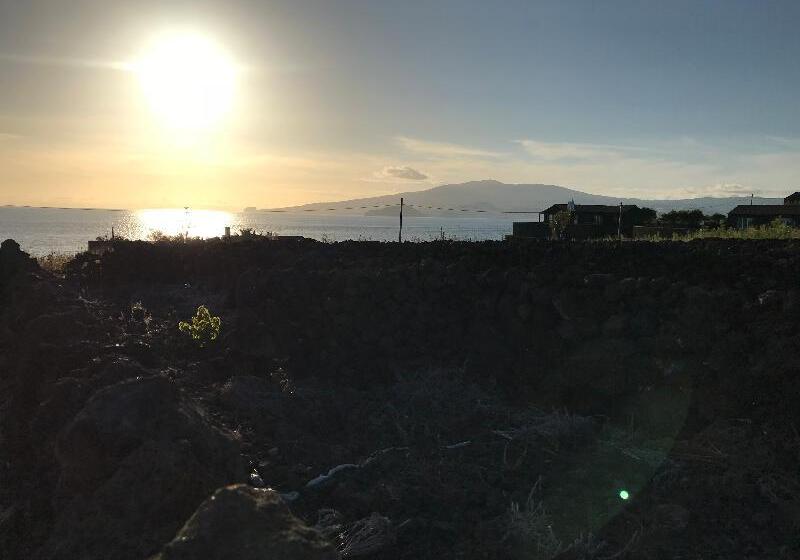 Fotos del hotel Vinhas Do Calhau:  5