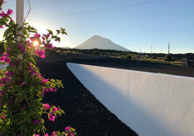 Fotos del hotel Vinhas Do Calhau:  15