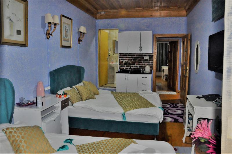 Fotos del hotel Istanbul The Trip Hotel Old City:  8