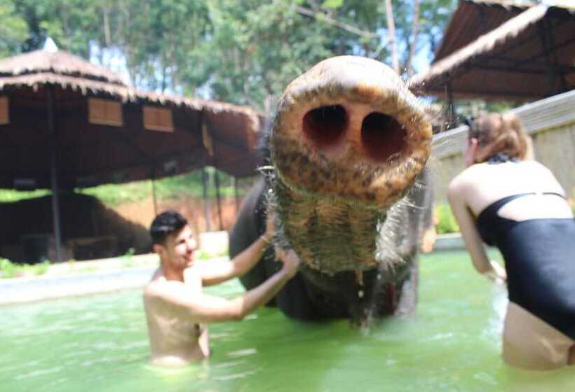 Fotos del hotel Phoenix  Karon Beach:  24