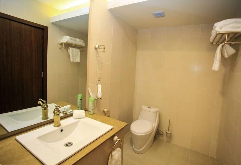 Fotos del hotel Pirimze Plaza:  12