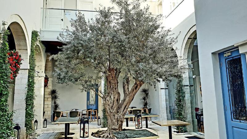 Fotos del hotel S Paul:  8