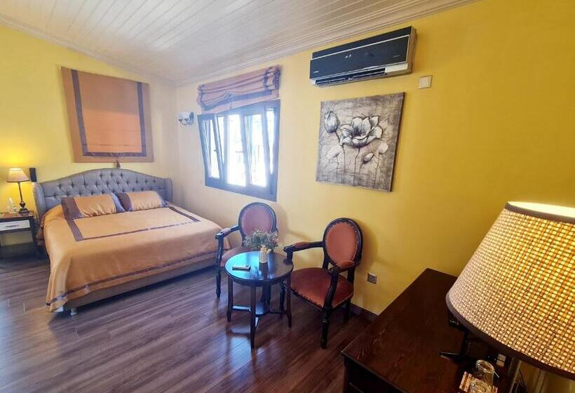 Fotos del hotel Sofia Boutique:  1