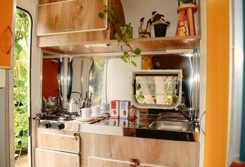 Fotos del hotel Selina Bariloche:  15