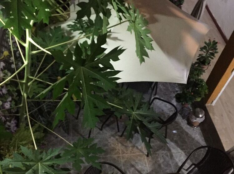 Fotos del hotel Casa 954:  10