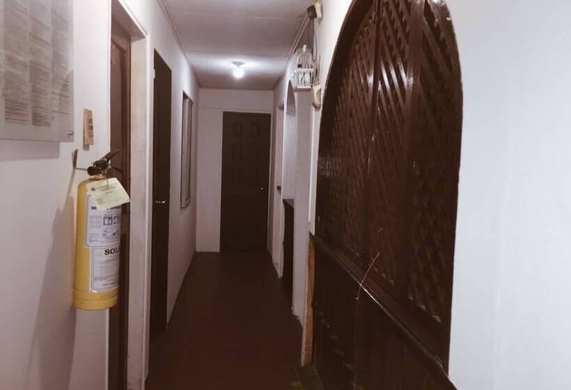 Fotos del hotel Casa 954:  12