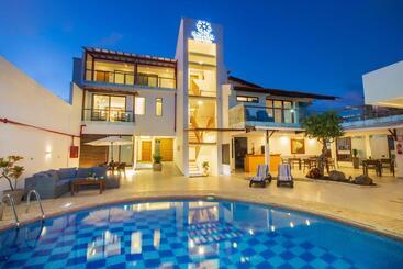 Acacia - Puerto Ayora