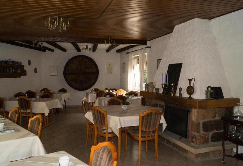 Fotos del hotel Rebmann:  8