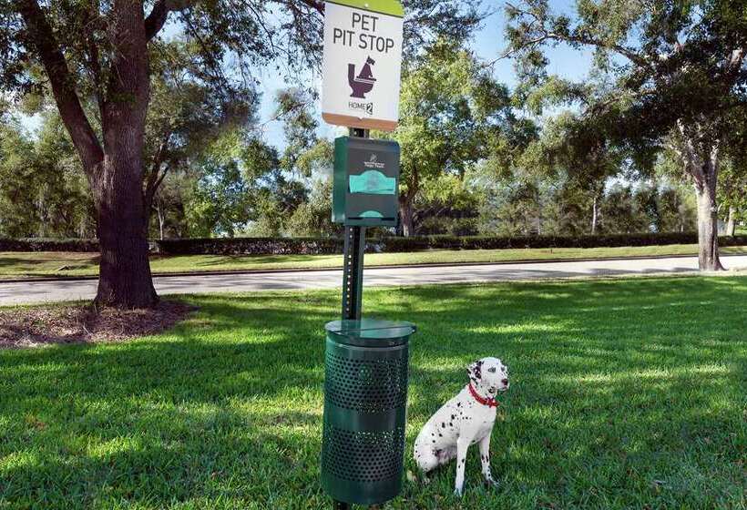 Fotos del hotel Home2 Suites By Hilton Orlando Near Ucf:  21