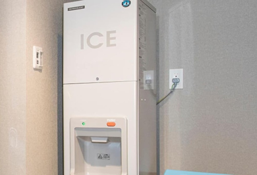 Fotos del hotel Rembrandt Style Sapporo:  14