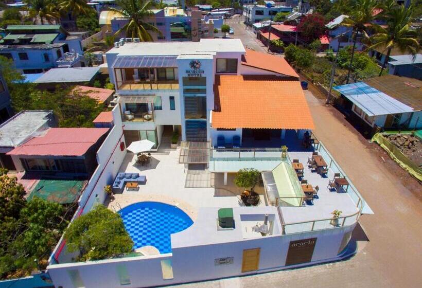 Fotos del hotel Acacia:  25