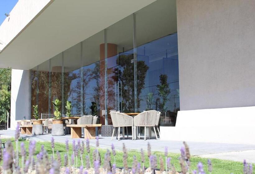 Fotos del hotel México Plaza Querétaro:  13