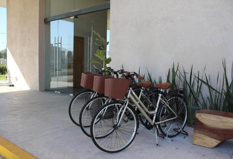 Fotos del hotel México Plaza Querétaro:  22