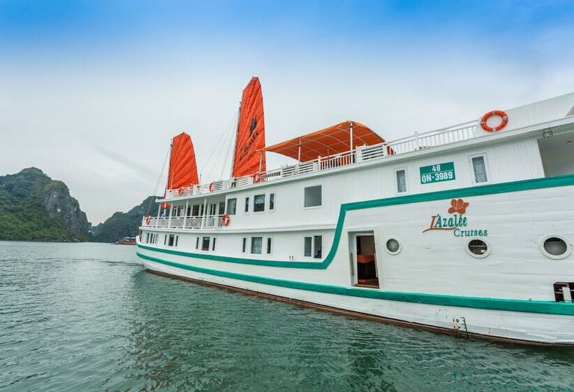 Fotos del hotel L Azalée Cruises:  25