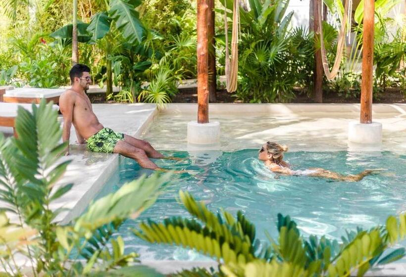 Fotos del hotel Zenses Wellness And Yoga Resort  Adults Only:  9